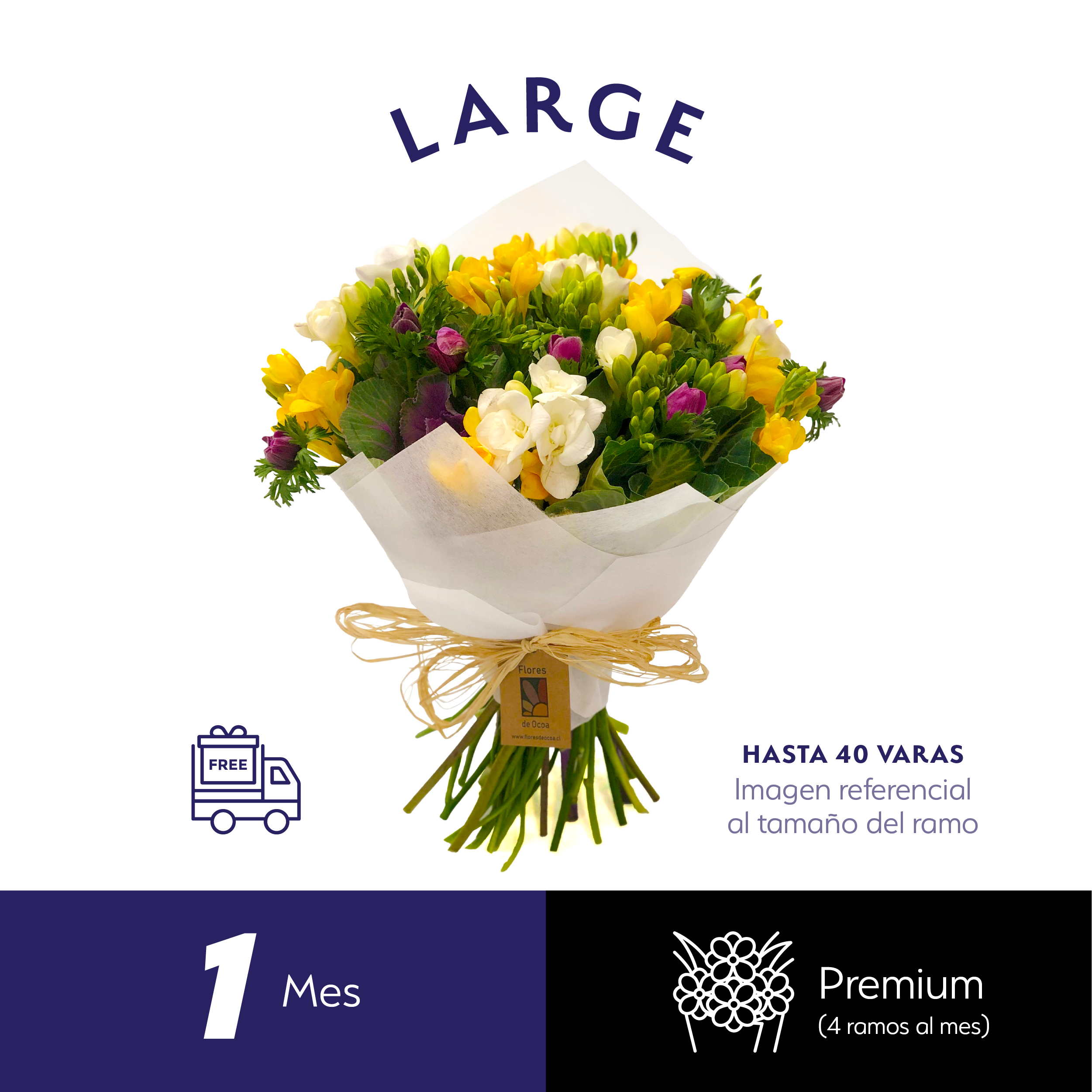 Plan Mensual Premium Large.