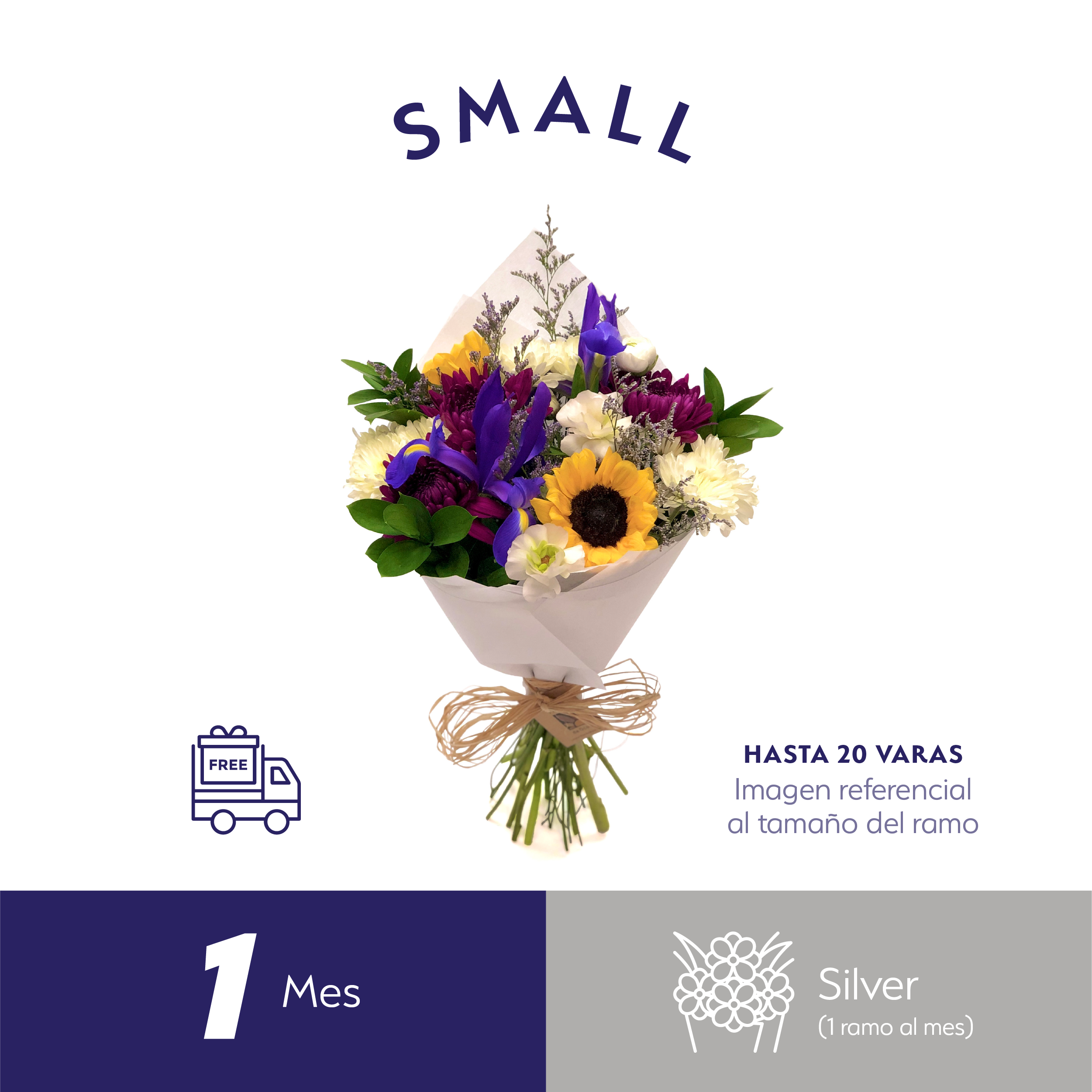 Plan Mensual Silver Small.